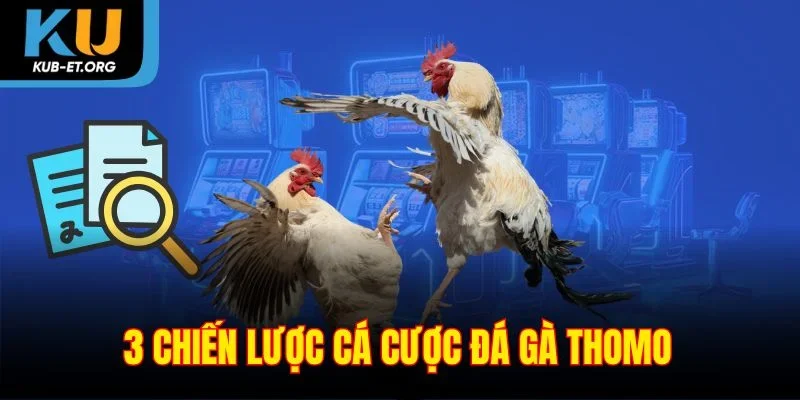3-chien-luoc-ca-cuoc-da-ga-thomo
