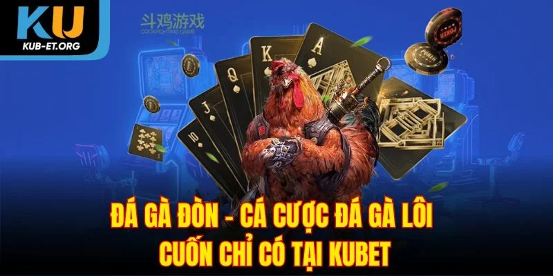 da-ga-don-ca-cuoc-da-ga-loi-cuon-chi-co-tai-kubet