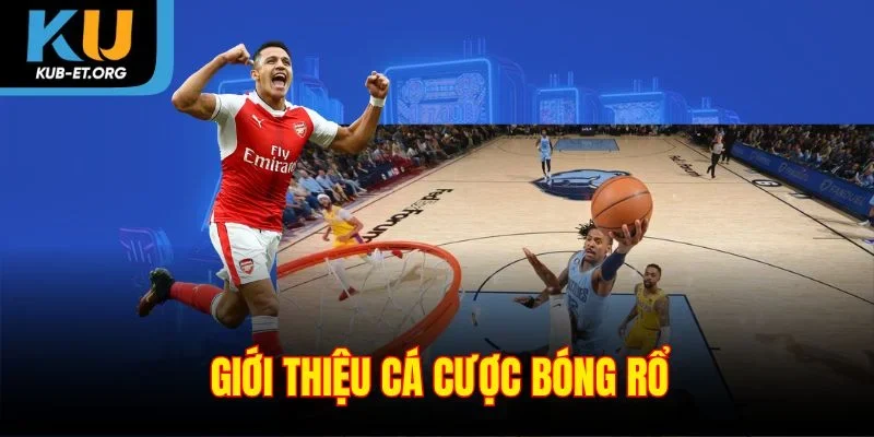 gioi-thieu-ca-cuoc-bong-ro