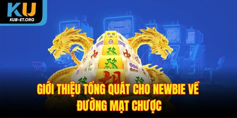 gioi-thieu-tong-quat-cho-newbie-ve-duong-mat-chuoc
