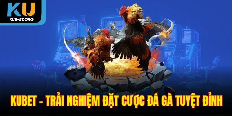 kubet-trai-nghiem-dat-cuoc-da-ga-tuyet-dinh