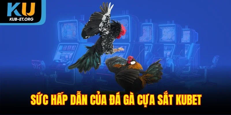 suc-hap-dan-cua-da-ga-cua-sat-kubet