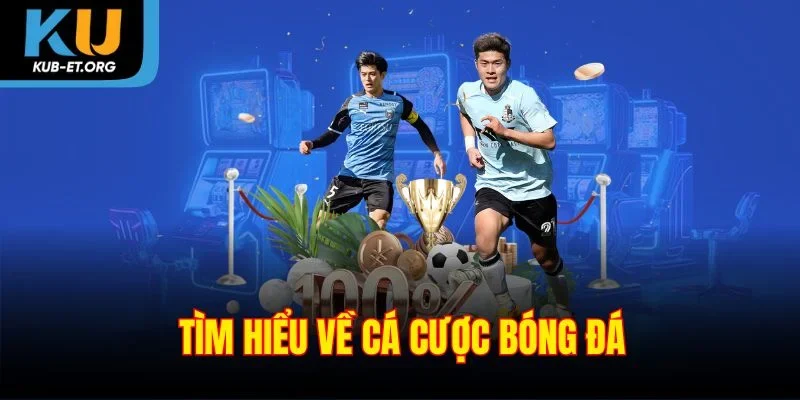tim-hieu-ve-ca-cuoc-bong-da